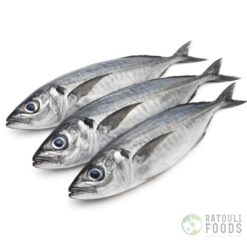 Mackerel