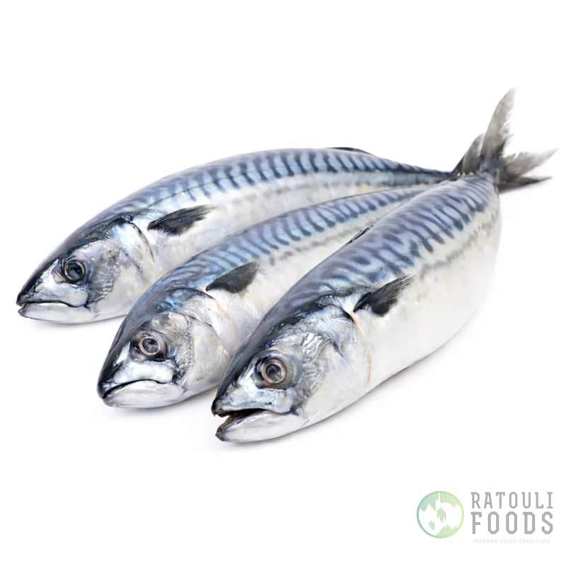 Mackerel