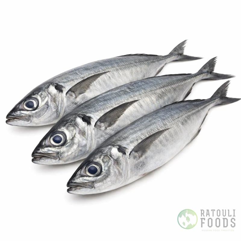 Mackerel