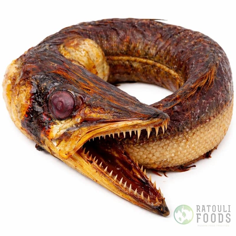 Barracuda ring (smoked)